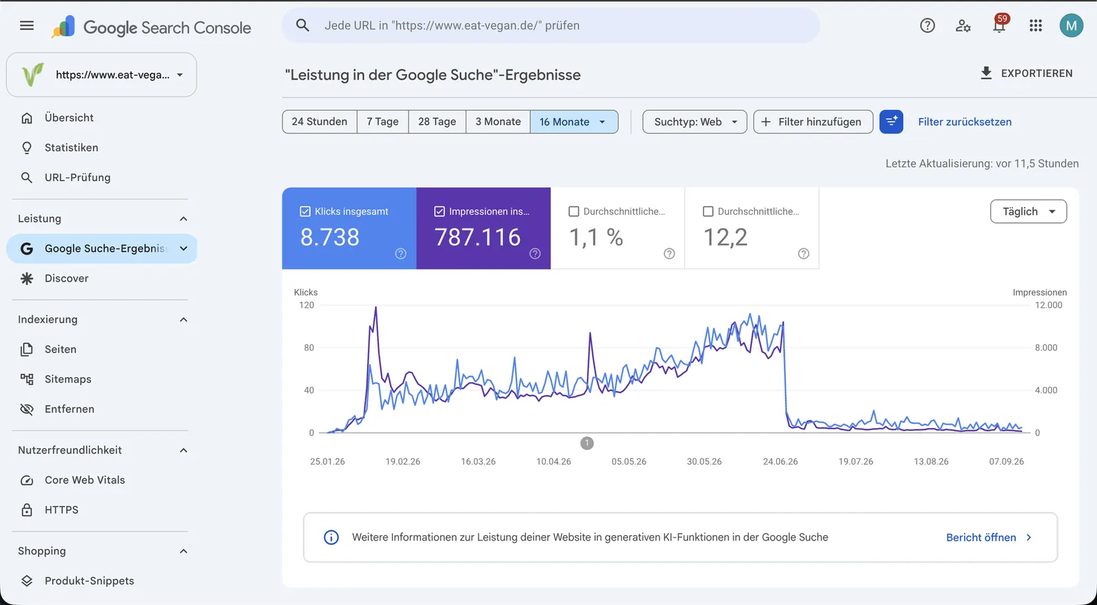 Google Search Console, 16 Monate: 8.738 Klicks, steiler Anstieg, Bruch im Juni 2026.